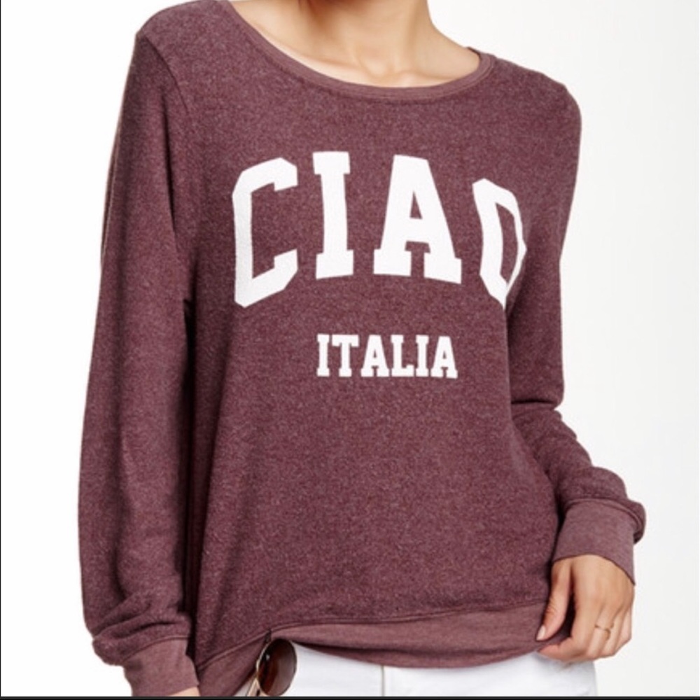 Wild fox pullover